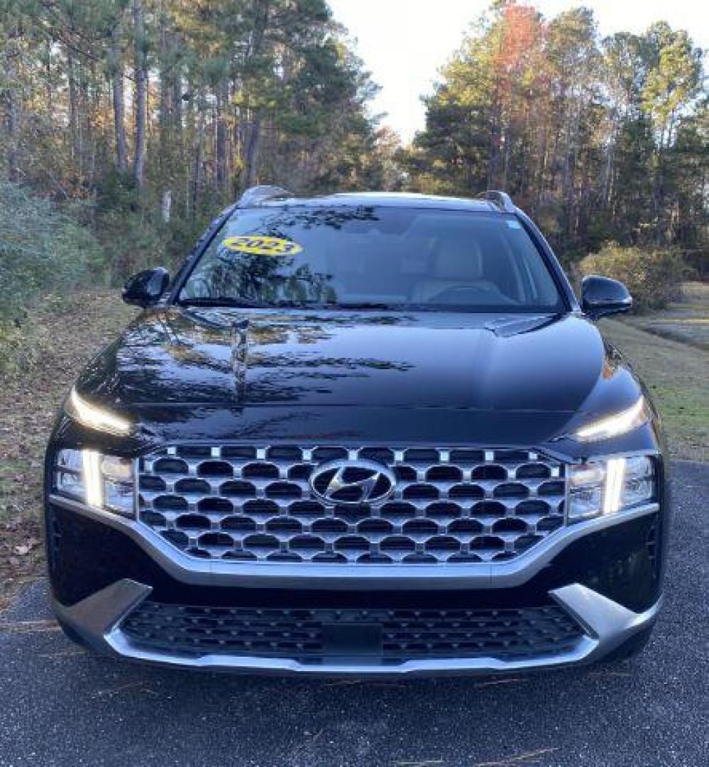 2023 /BLACK/BEIGE Hyundai Santa Fe SEL w/Premium Package (5NMS34AJ3PH) with an 2.5L L4 DOHC 16V engine, 6-Speed Automatic transmission, located at 9146 Ocean Hwy West, Calabash, NC, 28467, (910) 579-1110, 33.928635, -78.576157 - 2023 Hyundai Santa Fe SEL w/Premium Package - Photo#1