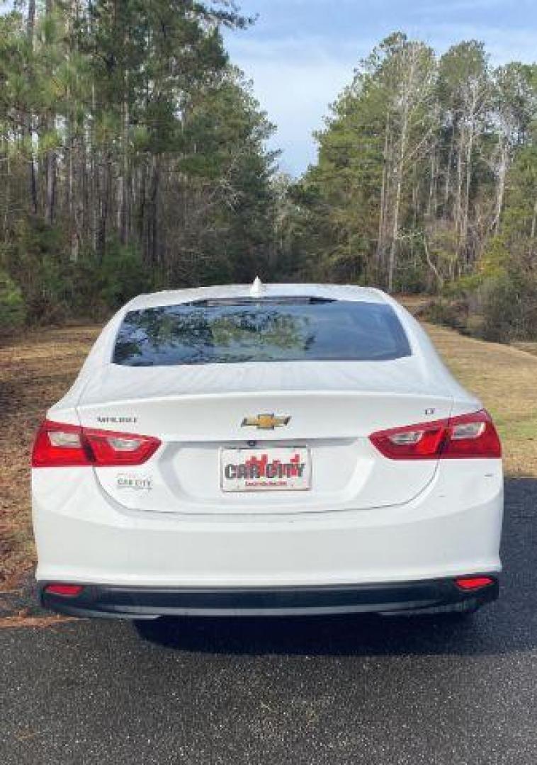 2023 /Jet Black Chevrolet Malibu 1LT (1G1ZD5ST6PF) with an 1.5L L4 DOHC 16V engine, 6-Speed Automatic transmission, located at 9146 Ocean Hwy West, Calabash, NC, 28467, (910) 579-1110, 33.928635, -78.576157 - 2023 Chevrolet Malibu 1LT - Photo#3