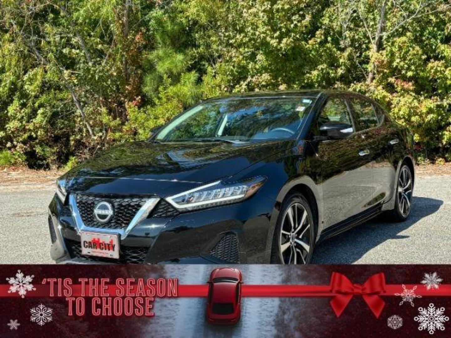 2023 /Charcoal Nissan Maxima 3.5 SV (1N4AA6CV0PC) with an 3.5L V6 DOHC 24V engine, Continuously Variable Transmission transmission, located at 9146 Ocean Hwy West, Calabash, NC, 28467, (910) 579-1110, 33.928635, -78.576157 - 2023 Nissan Maxima 3.5 SV - Photo#0