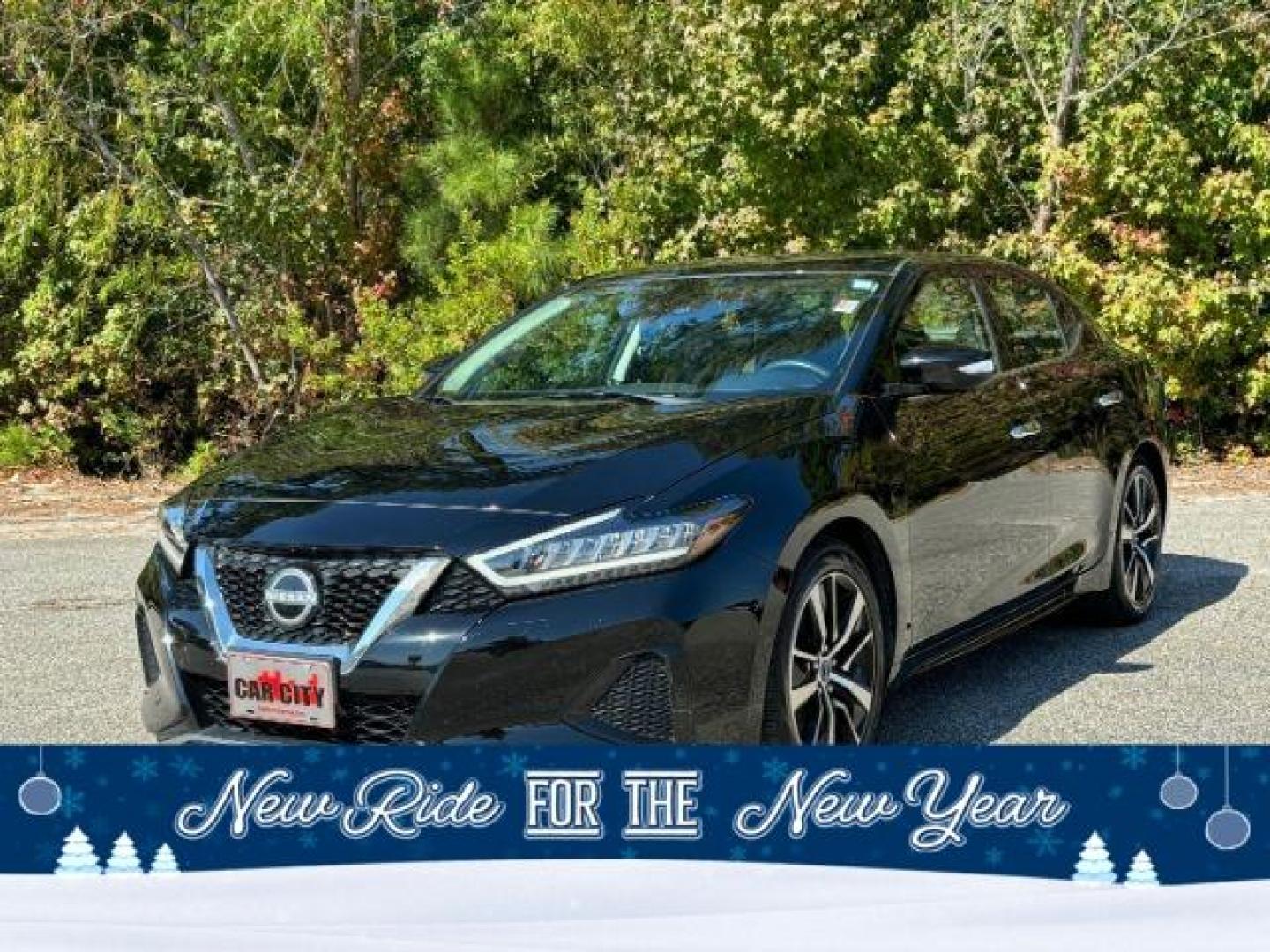 2023 /Charcoal Nissan Maxima 3.5 SV (1N4AA6CV0PC) with an 3.5L V6 DOHC 24V engine, Continuously Variable Transmission transmission, located at 9146 Ocean Hwy West, Calabash, NC, 28467, (910) 579-1110, 33.928635, -78.576157 - 2023 Nissan Maxima 3.5 SV - Photo#0