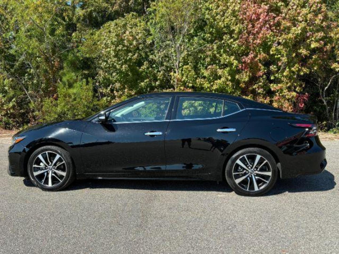 2023 /Charcoal Nissan Maxima 3.5 SV (1N4AA6CV0PC) with an 3.5L V6 DOHC 24V engine, Continuously Variable Transmission transmission, located at 9146 Ocean Hwy West, Calabash, NC, 28467, (910) 579-1110, 33.928635, -78.576157 - 2023 Nissan Maxima 3.5 SV - Photo#1