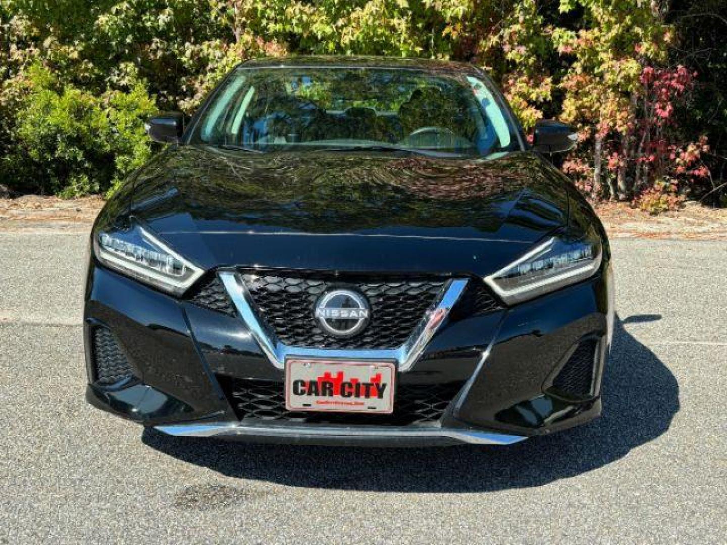 2023 /Charcoal Nissan Maxima 3.5 SV (1N4AA6CV0PC) with an 3.5L V6 DOHC 24V engine, Continuously Variable Transmission transmission, located at 9146 Ocean Hwy West, Calabash, NC, 28467, (910) 579-1110, 33.928635, -78.576157 - 2023 Nissan Maxima 3.5 SV - Photo#3