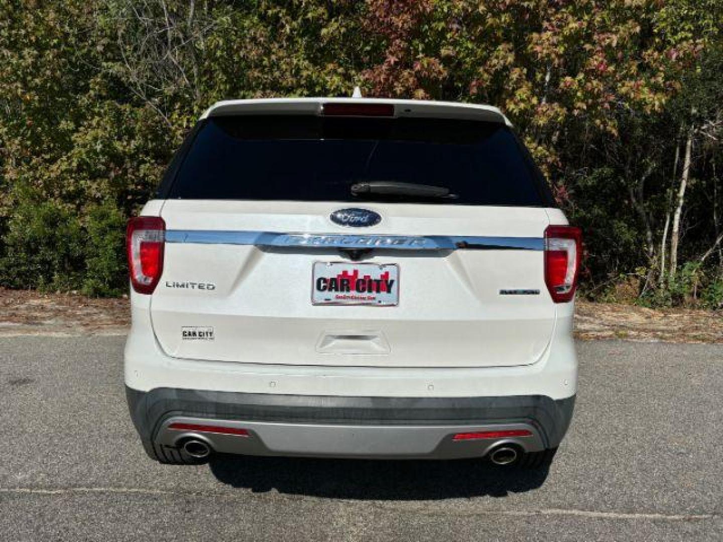 2016 /Medium Light Camel, premium leather Ford Explorer Limited FWD (1FM5K7F8XGG) with an 3.5L V6 DOHC 24V engine, 6-Speed Automatic transmission, located at 3598 James B White Hwy South, Whiteville, NC, 28472, (910) 642-3196, 34.294846, -78.732613 - 2016 Ford Explorer Limited FWD - Photo#4