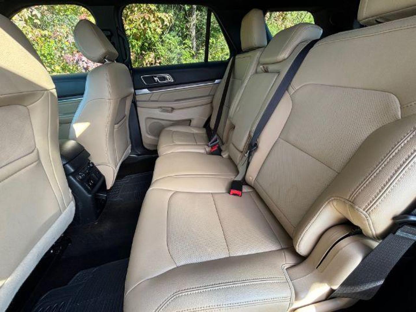 2016 /Medium Light Camel, premium leather Ford Explorer Limited FWD (1FM5K7F8XGG) with an 3.5L V6 DOHC 24V engine, 6-Speed Automatic transmission, located at 3598 James B White Hwy South, Whiteville, NC, 28472, (910) 642-3196, 34.294846, -78.732613 - 2016 Ford Explorer Limited FWD - Photo#10