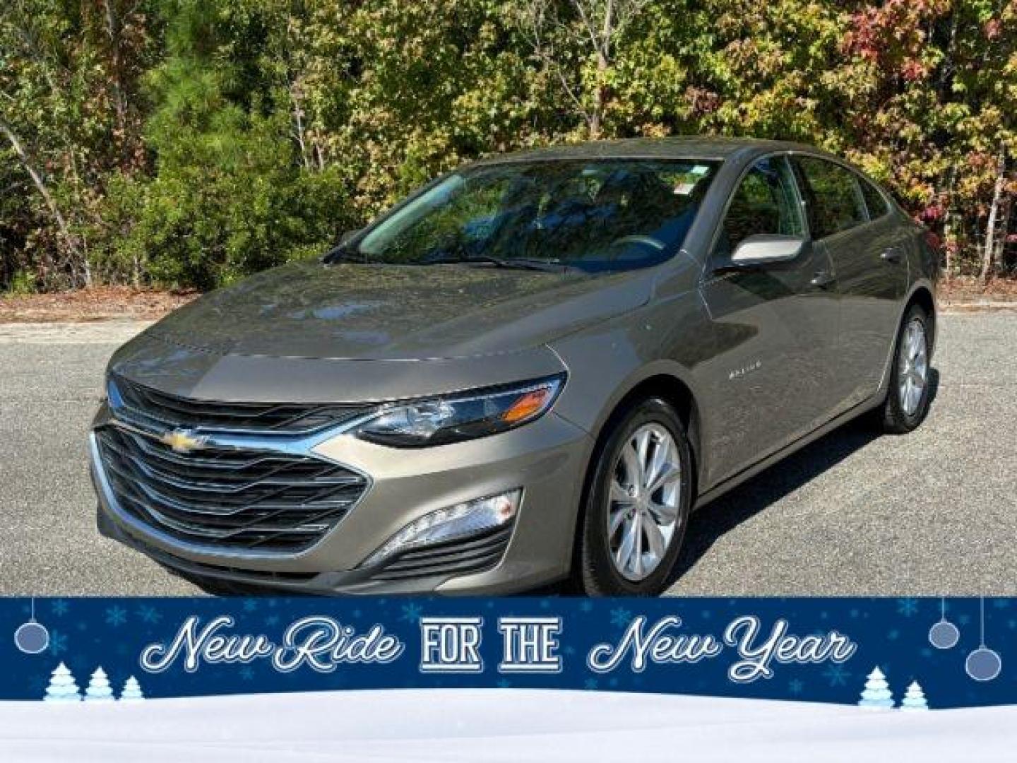 2020 /CHARCOAL CLOTH Chevrolet Malibu LT (1G1ZD5ST6LF) with an 1.5L L4 DOHC 16V engine, 6-Speed Automatic transmission, located at 2761 East Hwy 501, Conway, SC, 29526, (843) 331-1151, 33.781528, -78.989883 - 2020 Chevrolet Malibu LT - Photo#0