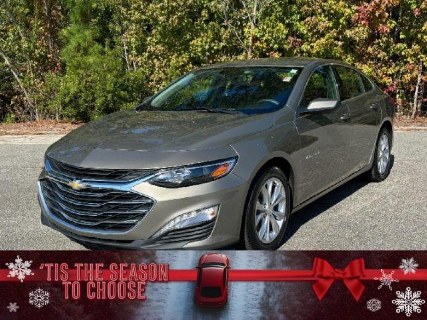 2020 /CHARCOAL CLOTH Chevrolet Malibu LT (1G1ZD5ST6LF) with an 1.5L L4 DOHC 16V engine, 6-Speed Automatic transmission, located at 2761 East Hwy 501, Conway, SC, 29526, (843) 331-1151, 33.781528, -78.989883 - 2020 Chevrolet Malibu LT - Photo#0