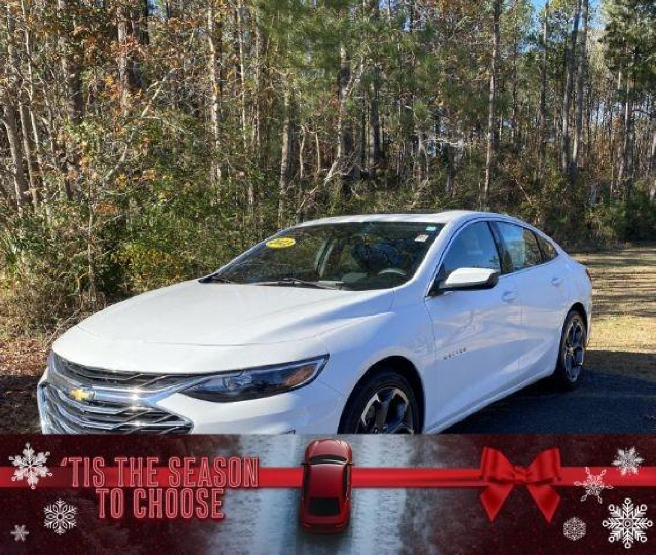 2023 /Jet Black Chevrolet Malibu 1LT (1G1ZD5ST4PF) with an 1.5L L4 DOHC 16V engine, 6-Speed Automatic transmission, located at 9146 Ocean Hwy West, Calabash, NC, 28467, (910) 579-1110, 33.928635, -78.576157 - 2023 Chevrolet Malibu 1LT - Photo#0