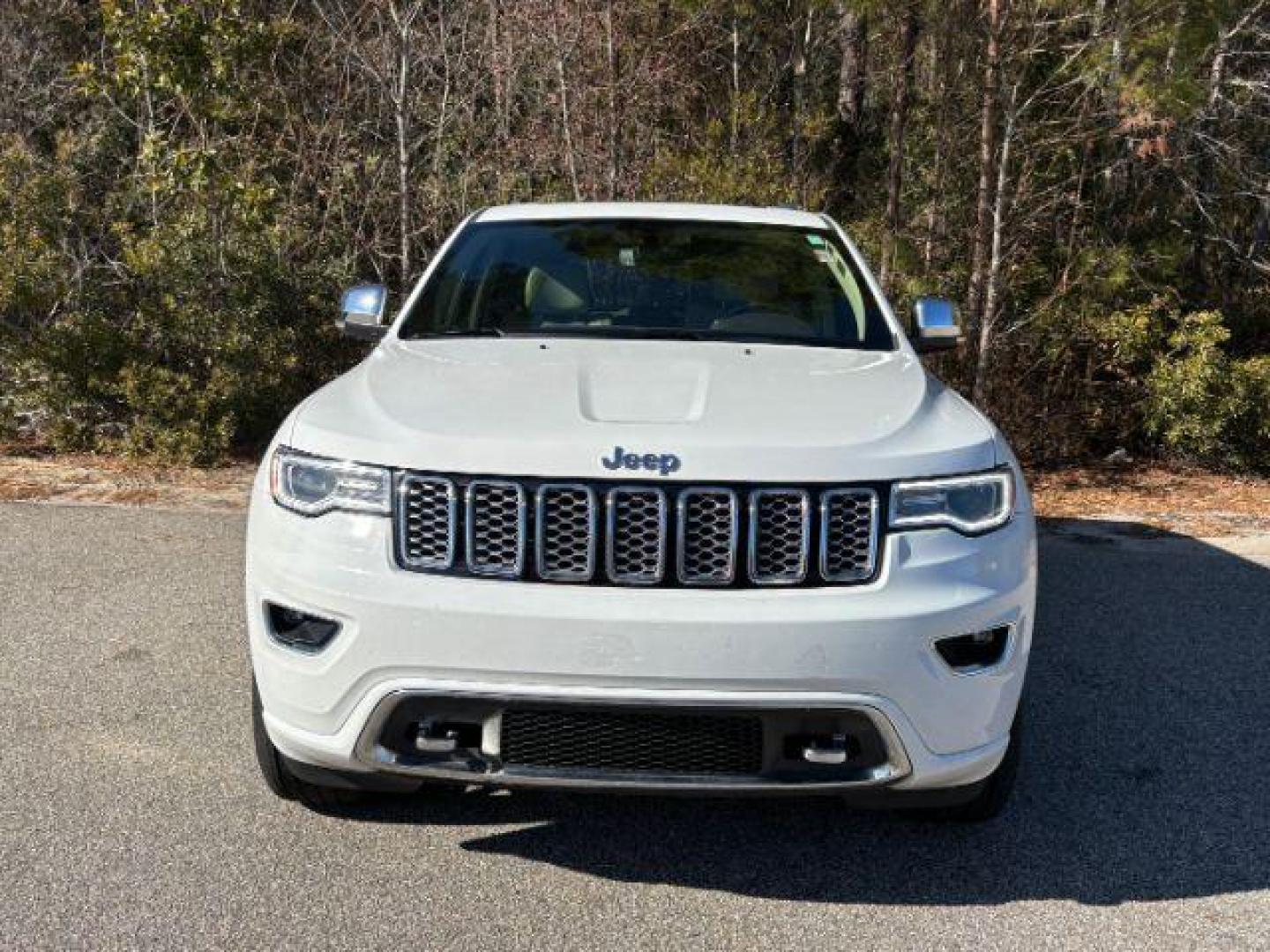 2019 /Brown/Light Frost, leather Jeep Grand Cherokee Overland 2WD (1C4RJECG2KC) with an 3.6L V6 DOHC 24V engine, 8-Speed Automatic transmission, located at 2761 East Hwy 501, Conway, SC, 29526, (843) 331-1151, 33.781528, -78.989883 - 2019 Jeep Grand Cherokee Overland 2WD - Photo#3