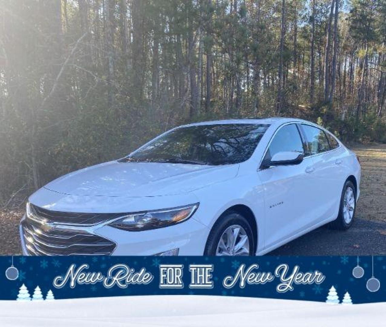 2024 /Jet Black Chevrolet Malibu 1LT (1G1ZD5ST7RF) with an 1.5L L4 DOHC 16V engine, 6-Speed Automatic transmission, located at 9146 Ocean Hwy West, Calabash, NC, 28467, (910) 579-1110, 33.928635, -78.576157 - 2024 Chevrolet Malibu 1LT - Photo#0