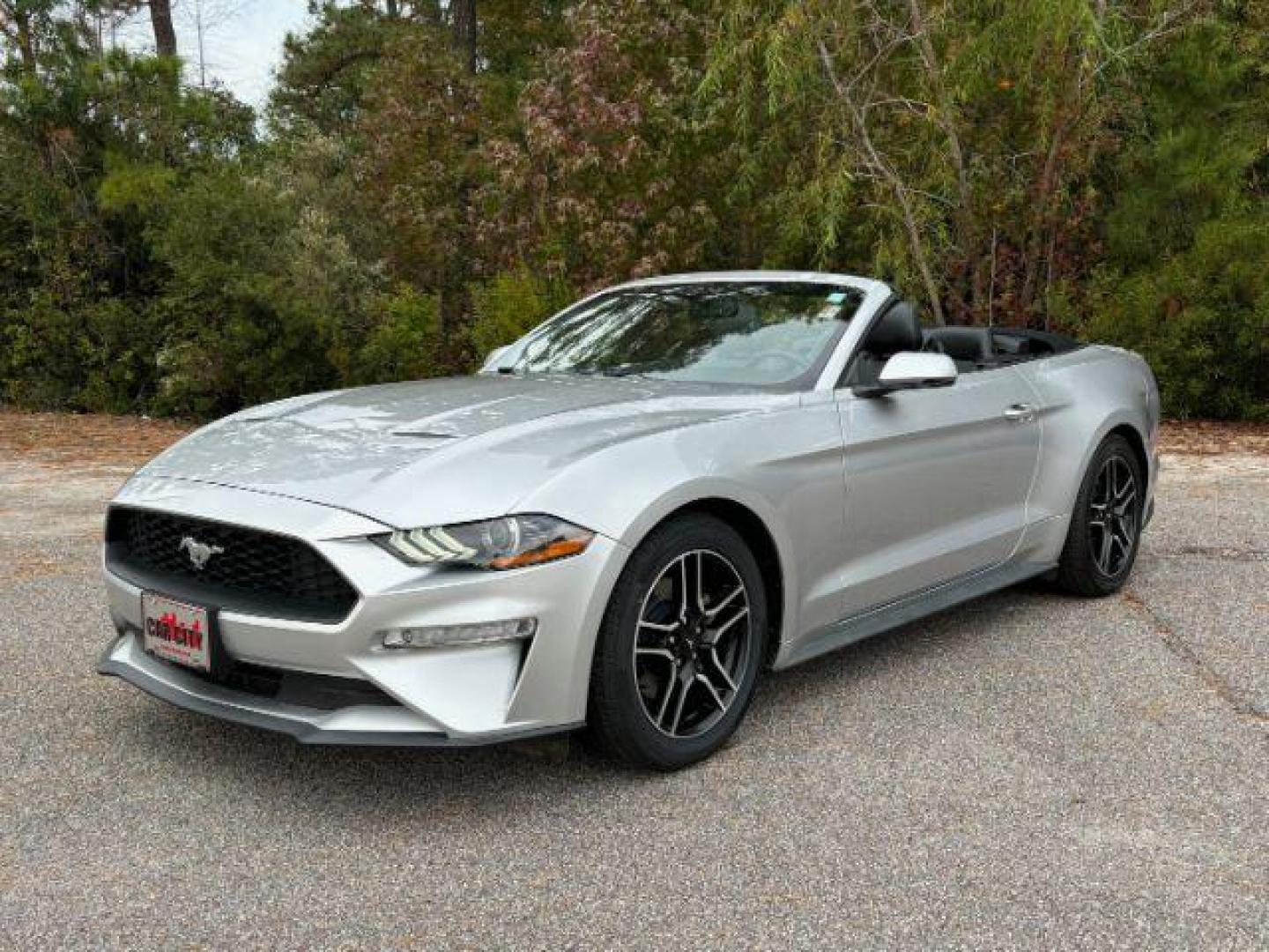 2019 /Ebony, leather Ford Mustang EcoBoost Premium Convertible (1FATP8UH0K5) with an 2.3L L4 DOHC 16V engine, located at 9146 Ocean Hwy West, Calabash, NC, 28467, (910) 579-1110, 33.928635, -78.576157 - 2019 Ford Mustang EcoBoost Premium Convertible - Photo#0