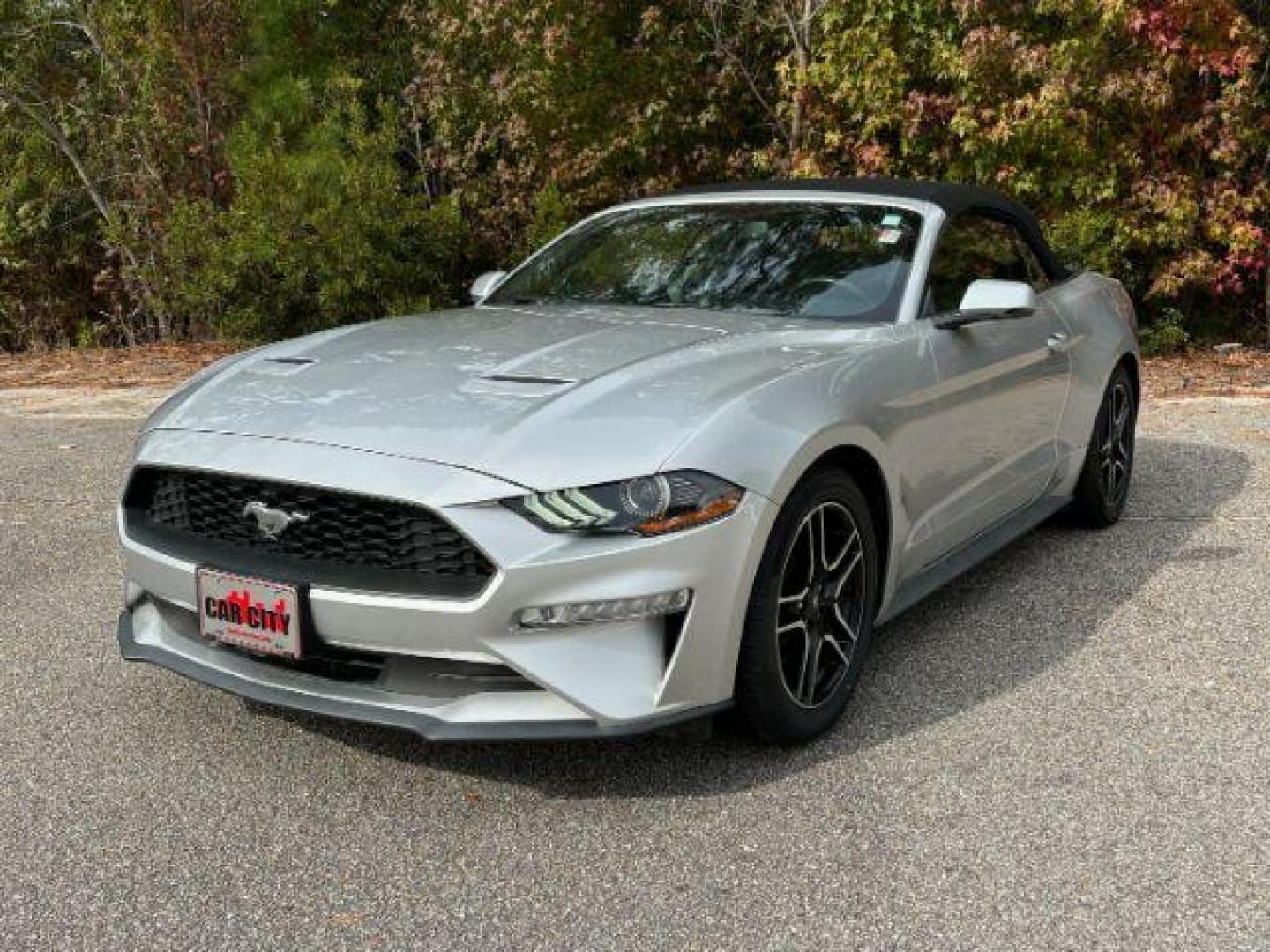 2019 /Ebony, leather Ford Mustang EcoBoost Premium Convertible (1FATP8UH0K5) with an 2.3L L4 DOHC 16V engine, located at 9146 Ocean Hwy West, Calabash, NC, 28467, (910) 579-1110, 33.928635, -78.576157 - 2019 Ford Mustang EcoBoost Premium Convertible - Photo#1