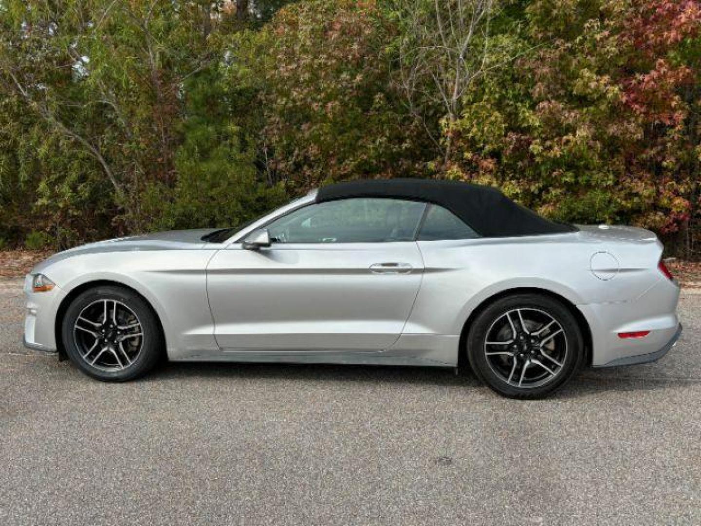 2019 /Ebony, leather Ford Mustang EcoBoost Premium Convertible (1FATP8UH0K5) with an 2.3L L4 DOHC 16V engine, located at 9146 Ocean Hwy West, Calabash, NC, 28467, (910) 579-1110, 33.928635, -78.576157 - 2019 Ford Mustang EcoBoost Premium Convertible - Photo#2