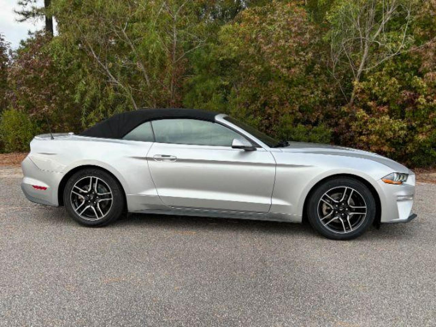 2019 /Ebony, leather Ford Mustang EcoBoost Premium Convertible (1FATP8UH0K5) with an 2.3L L4 DOHC 16V engine, located at 9146 Ocean Hwy West, Calabash, NC, 28467, (910) 579-1110, 33.928635, -78.576157 - 2019 Ford Mustang EcoBoost Premium Convertible - Photo#3