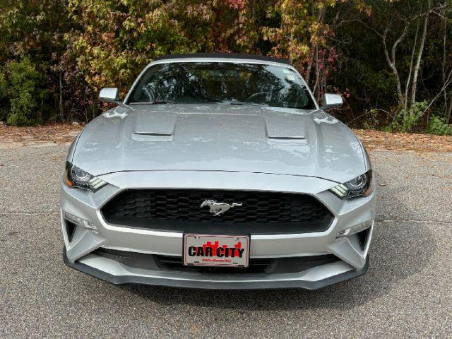 2019 /Ebony, leather Ford Mustang EcoBoost Premium Convertible (1FATP8UH0K5) with an 2.3L L4 DOHC 16V engine, located at 9146 Ocean Hwy West, Calabash, NC, 28467, (910) 579-1110, 33.928635, -78.576157 - 2019 Ford Mustang EcoBoost Premium Convertible - Photo#4