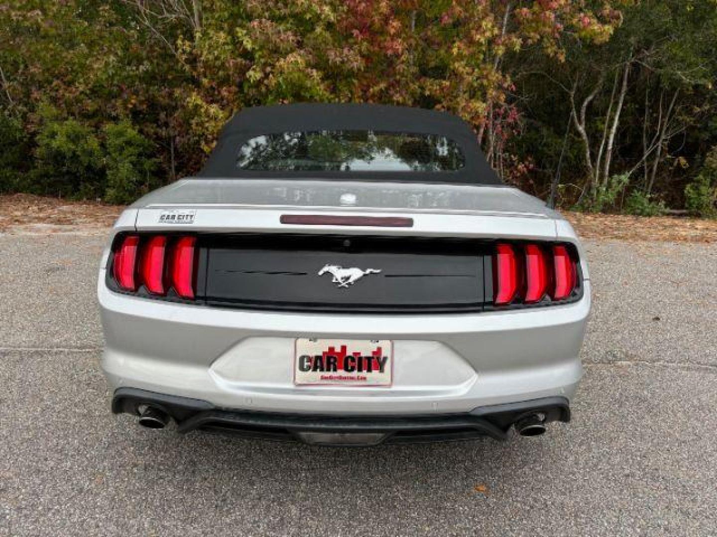 2019 /Ebony, leather Ford Mustang EcoBoost Premium Convertible (1FATP8UH0K5) with an 2.3L L4 DOHC 16V engine, located at 9146 Ocean Hwy West, Calabash, NC, 28467, (910) 579-1110, 33.928635, -78.576157 - 2019 Ford Mustang EcoBoost Premium Convertible - Photo#5