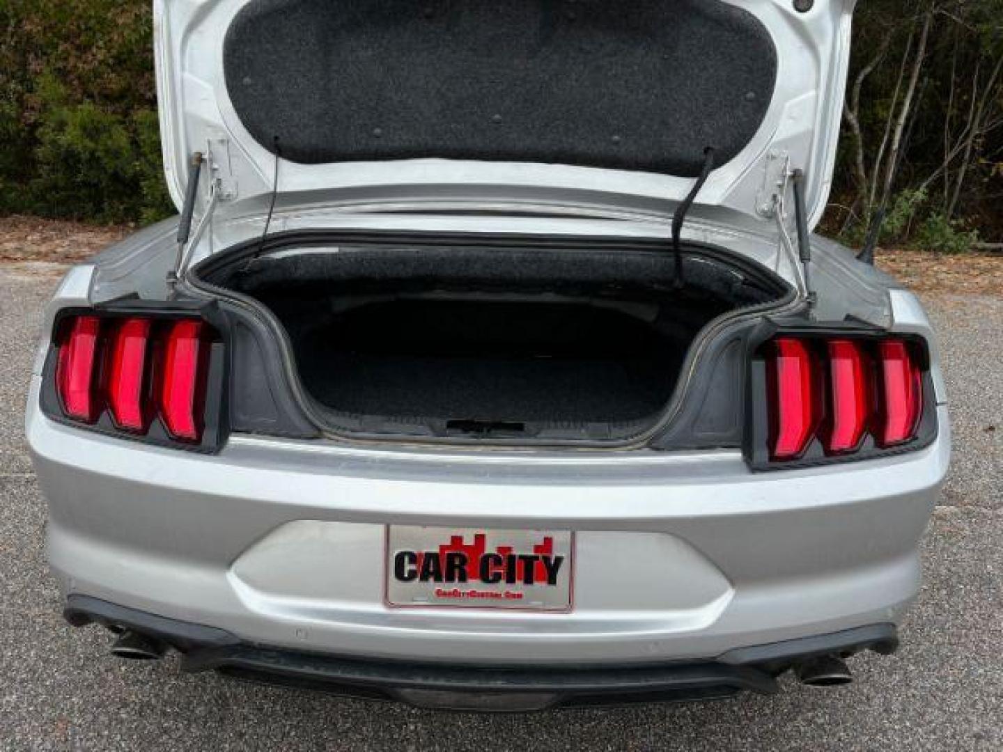 2019 /Ebony, leather Ford Mustang EcoBoost Premium Convertible (1FATP8UH0K5) with an 2.3L L4 DOHC 16V engine, located at 9146 Ocean Hwy West, Calabash, NC, 28467, (910) 579-1110, 33.928635, -78.576157 - 2019 Ford Mustang EcoBoost Premium Convertible - Photo#10