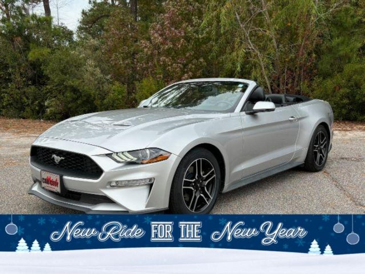 2019 /Ebony, leather Ford Mustang EcoBoost Premium Convertible (1FATP8UH0K5) with an 2.3L L4 DOHC 16V engine, located at 2761 East Hwy 501, Conway, SC, 29526, (843) 331-1151, 33.781528, -78.989883 - 2019 Ford Mustang EcoBoost Premium Convertible - Photo#0