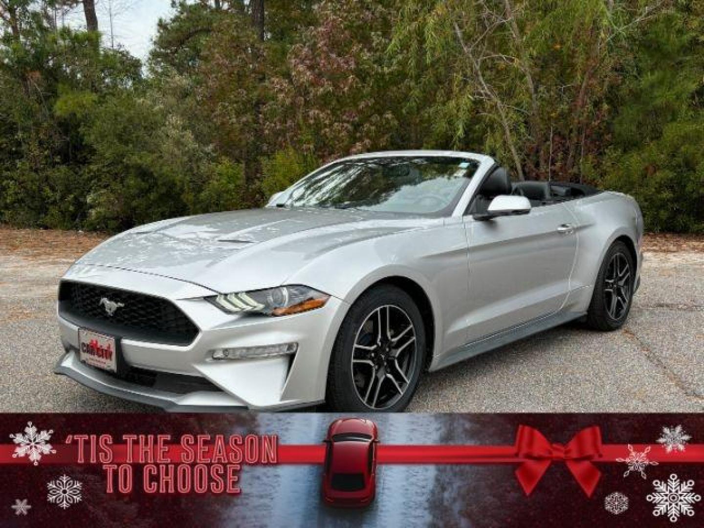 2019 /Ebony, leather Ford Mustang EcoBoost Premium Convertible (1FATP8UH0K5) with an 2.3L L4 DOHC 16V engine, located at 2761 East Hwy 501, Conway, SC, 29526, (843) 331-1151, 33.781528, -78.989883 - 2019 Ford Mustang EcoBoost Premium Convertible - Photo#0