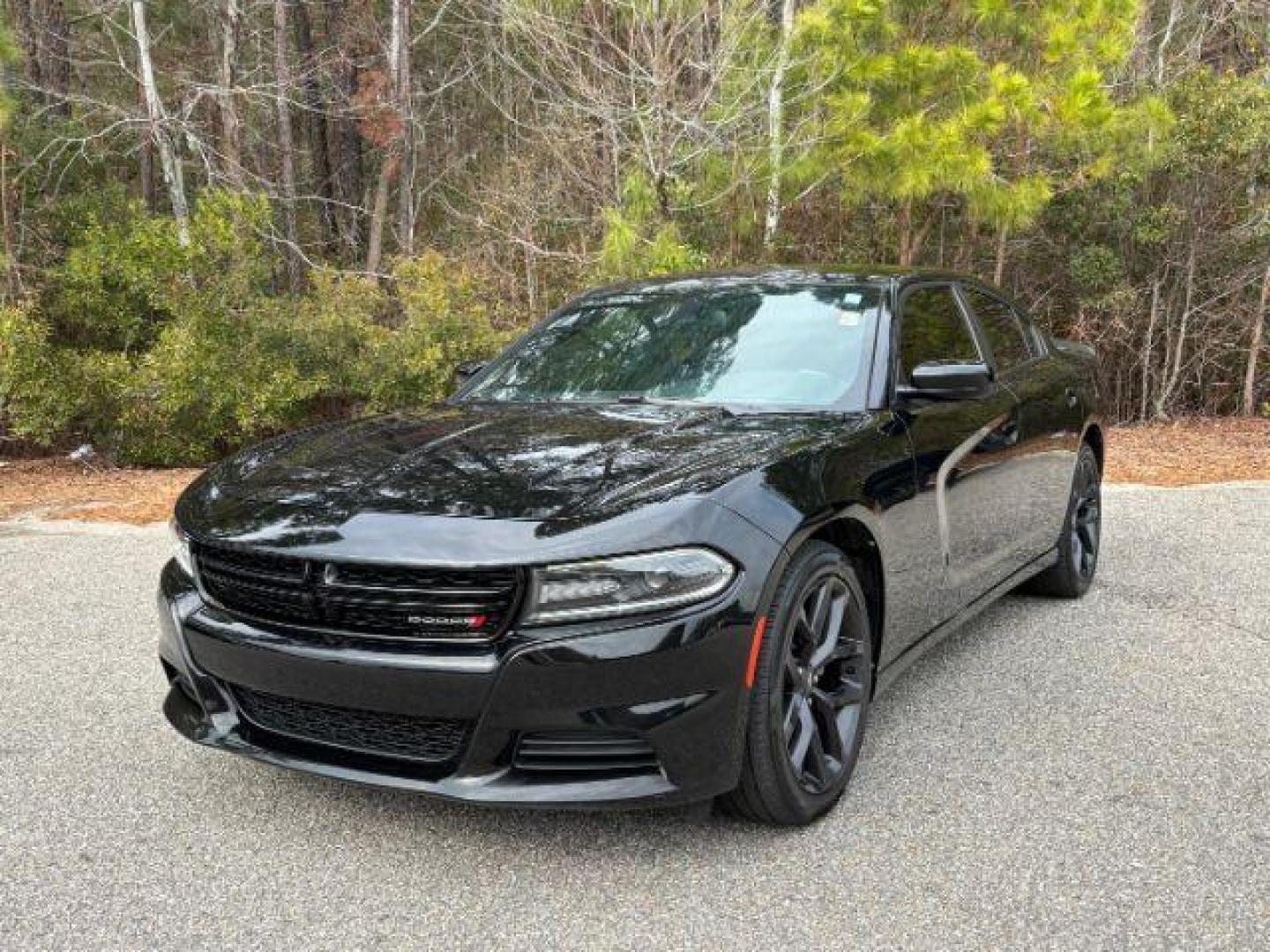 2021 /Black, cloth Dodge Charger SXT (2C3CDXBG5MH) with an 3.6L V6 DOHC 24V engine, 8-Speed Automatic transmission, located at 9146 Ocean Hwy West, Calabash, NC, 28467, (910) 579-1110, 33.928635, -78.576157 - 2021 Dodge Charger SXT - Photo#0